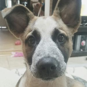 Meet your Posher, Kelsey